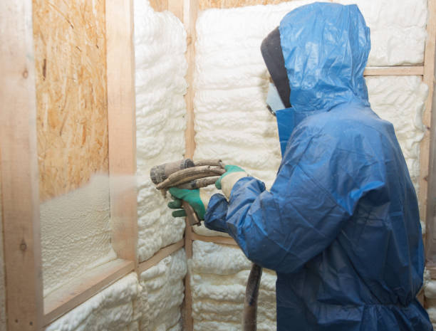 Best Blown-In Insulation  in Phillips, WI